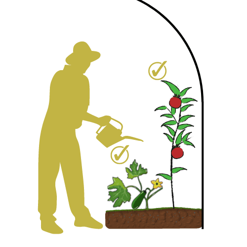 Nos conseils 5 Illustration d'une serre pied droit qui permet la culture sur toute la surface