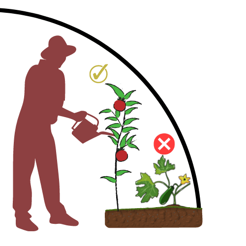 Nos conseils 8 Illustration d'une serre ronde qui ne permet pas de cultiver aux bords de la serre