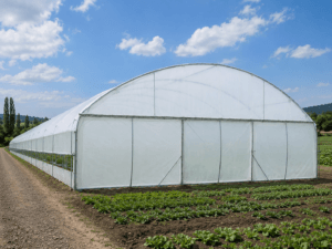 Serre Pro 8m - Rosmerta