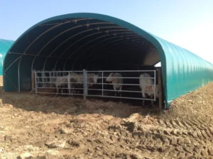 Abri agricole professionnel pour stockage ou stabulation