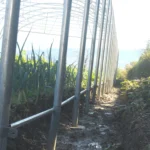 Les pieds enterrés d'une serre vue de près