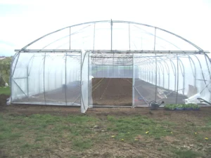 La porte de service du pignon relevable de nos serres