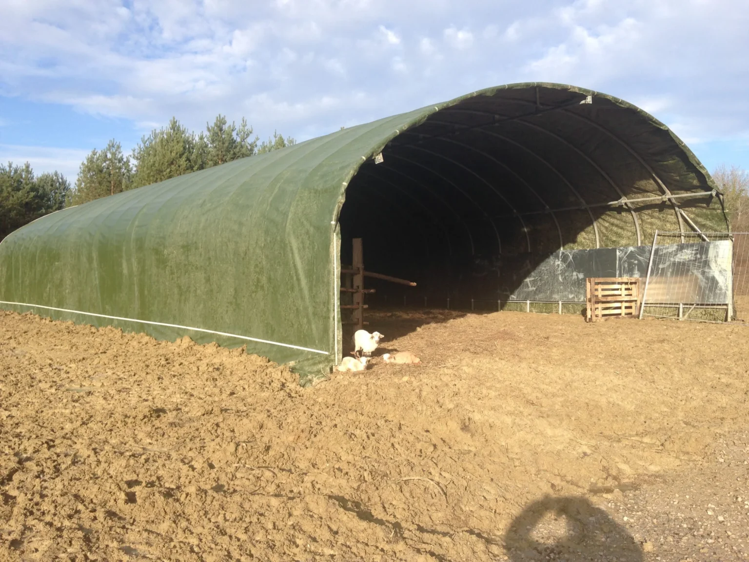 Un abri agricole pour de la stabulation