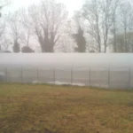 Une serre vue de côté