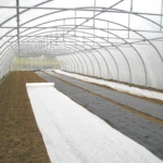 L'intérieur d'une serre de maraîcher