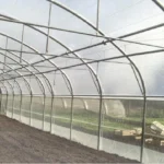 L'intérieur d'une serre professionnelle avec des aérations latérales par enroulement