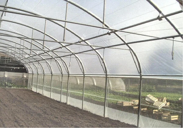 L'intérieur d'une serre professionnelle avec des aérations latérales par enroulement