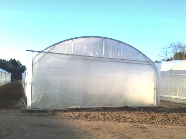 Le pignon à enroulement sur une serre professionnelle