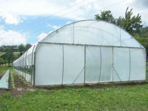 Une grande serre professionnelle, pignon relevable et ALE