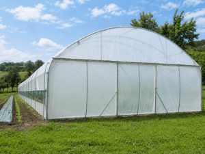 Serre Pro 6m - Toutatis