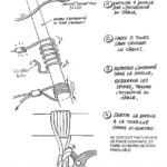 Fixation Deltex