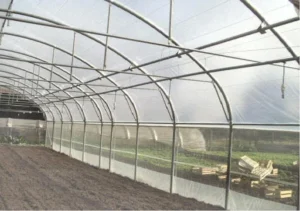 Serre professionnelle pour maraîchage ou pépinière