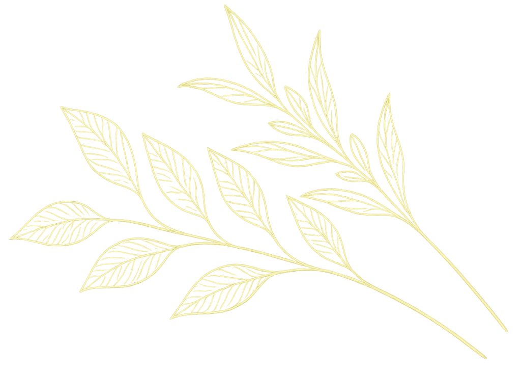feuilles fines transp