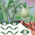 clips a tomate pose 2